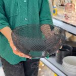 سبد لایه‌ای مینیمال ایکیا